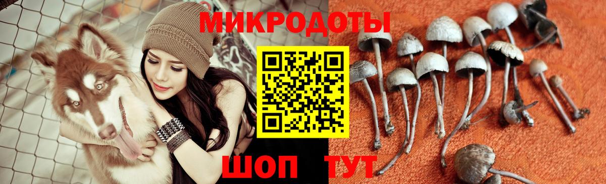 Псилоцибиновые грибы GOLDEN TEACHER  Вход с VPN  Севастополь  Галлюциногенные грибы Magic Shrooms 
